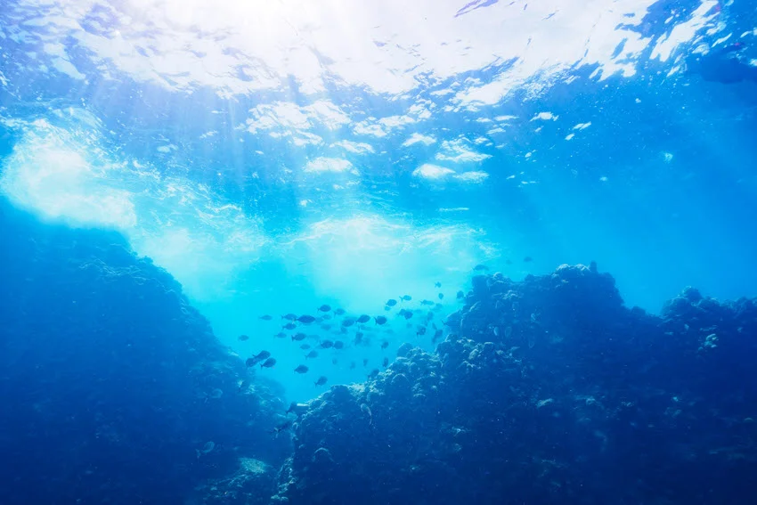 Underwater view of reef structure in clear blue water with sunlight filtering through the depth, a natural habitat scene for explaining where Amberjack hold offshore.