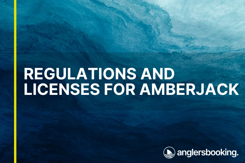 An illustration of ocean waves in intricate shades of blue, with a yellow line on the left side of the visual, the heading Regulations and Licenses for Amberjack, and the Anglers Booking logo at the bottom right.