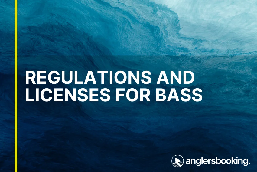 An illustration of ocean waves in intricate shades of blue, with a yellow line on the left side of the visual, the heading Regulations and Licenses for Bass, and the Anglers Booking logo at the bottom right.