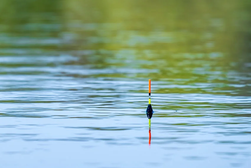 Close up view of a fishing float on calm water for a simple Float fishing setup for Carp.