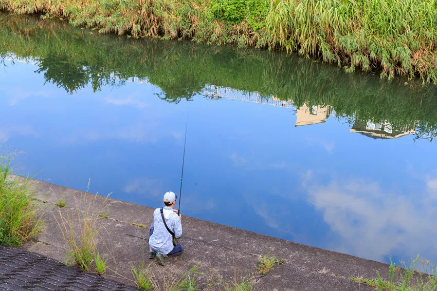 View of an angler casting from a canal bank in calm water, ideal for Surface Fishing for Carp.