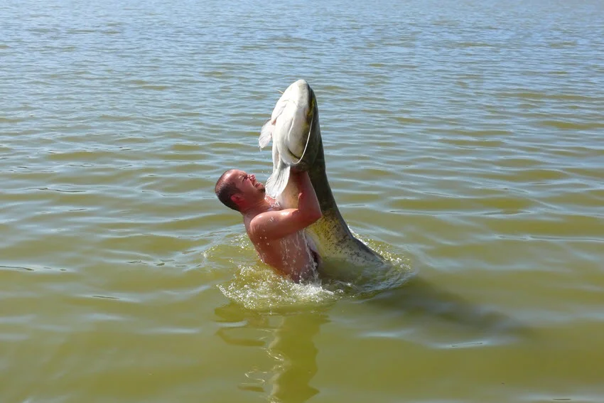 An angler holding a Catfish in the water, showcasing the catch while partially submerged.