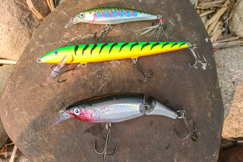 Multiple colorful jerkbait lures laid out on a surface, neatly arranged and ready for rigging.