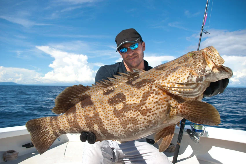 Angler holding a large Grouper on a boat offshore, showing the size and power of this prized reef fish.