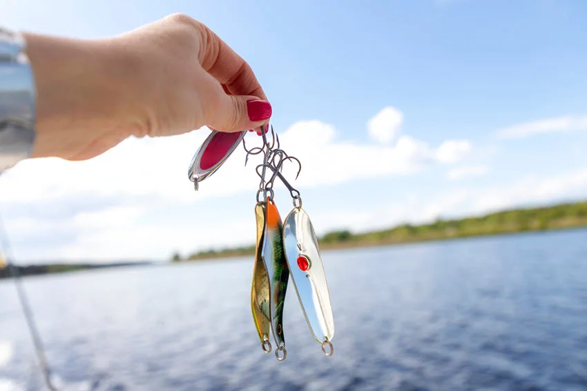 Angler holding three reflective metal spoon lures over the water, a versatile choice for fast-moving Jack Crevalle in open coastal areas.