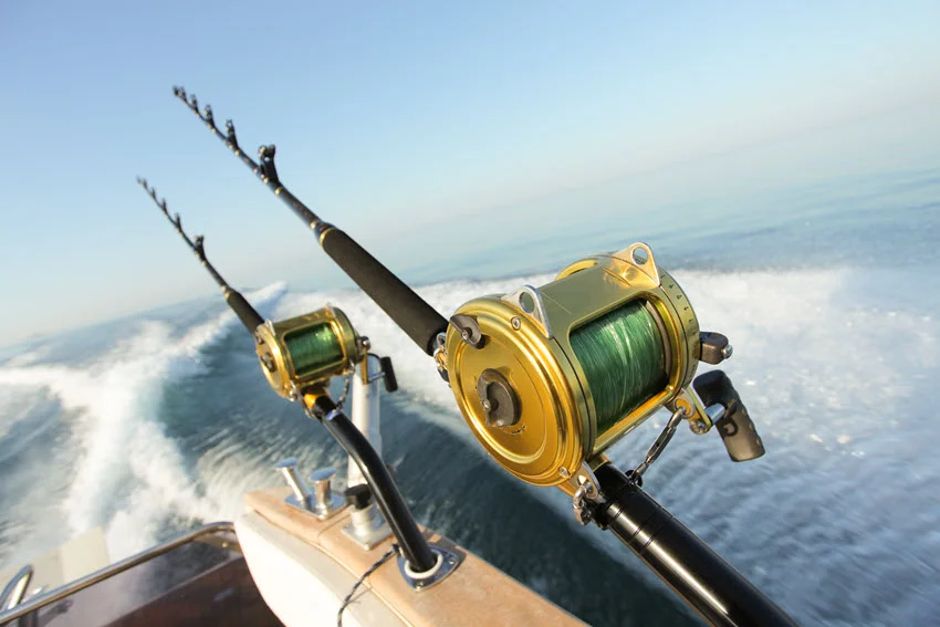 Trolling rods and conventional reels set behind a moving boat for covering offshore water while searching for King Mackerel.