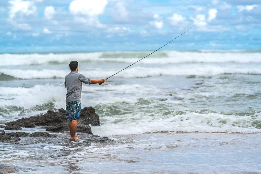 Trolling rods and conventional reels set behind a moving boat for covering offshore water while searching for King Mackerel.