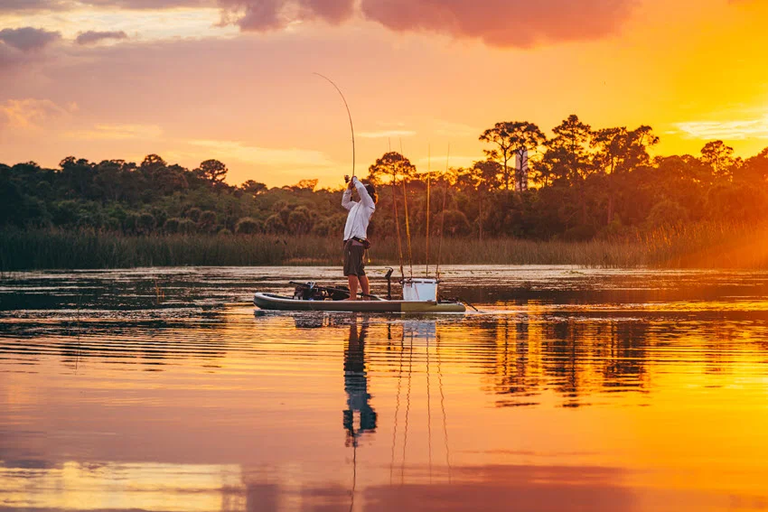 A Bass fish on the line, being reeled in while fishing from a stand-up paddleboard on calm water, capturing an exciting angling moment.
