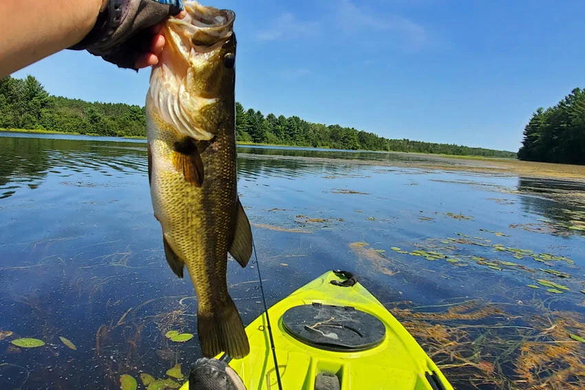 Largemouth Bass catch while fishing from a yellow kayak, with greenery and a river in the background creating a peaceful outdoor scene.