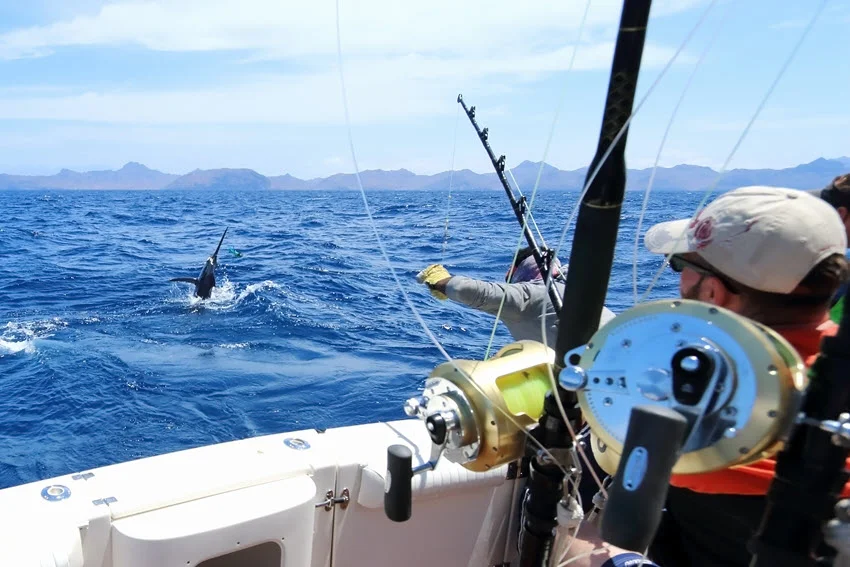 Big game fishing scene with a Marlin leaping near the boat, splashing water as anglers get ready to reel it in.