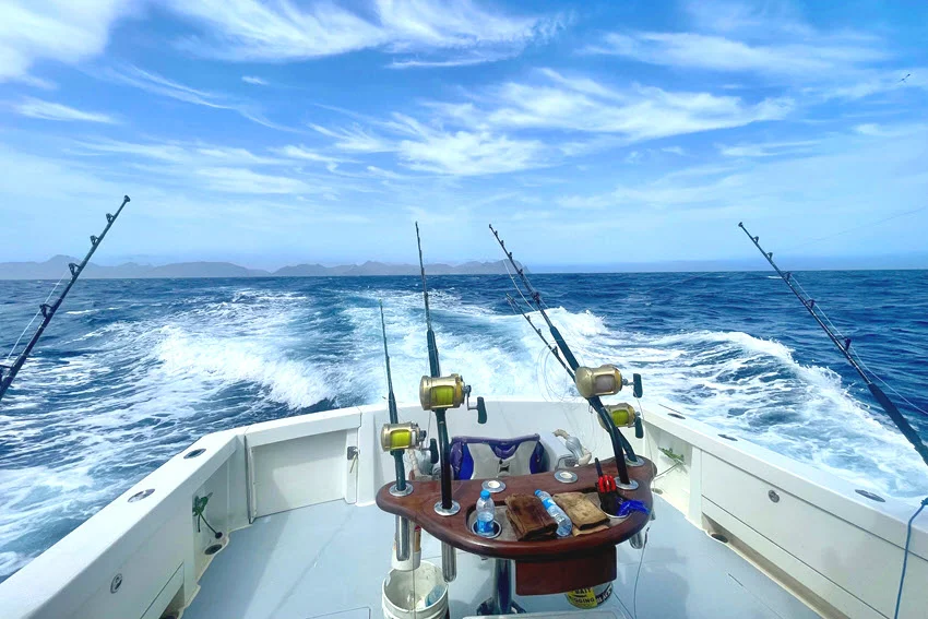 View from the back of a fishing boat during a Marlin fishing trip, with multiple rods set against the open ocean stretching to the horizon, capturing the anticipation and excitement of deep-sea fishing.