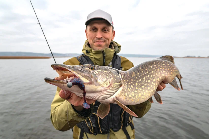 Angler holding a freshly caught Northern Pike with a soft plastic lure rigged in its mouth.