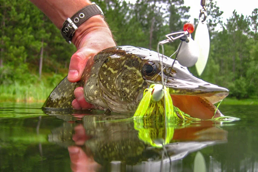 Best Northern Pike Lures: The Angler's Guide.