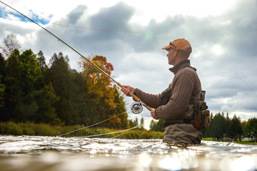 Angler fly fishing in a river with a controlled cast during a freshwater run, a classic approach for presenting flies in moving water.