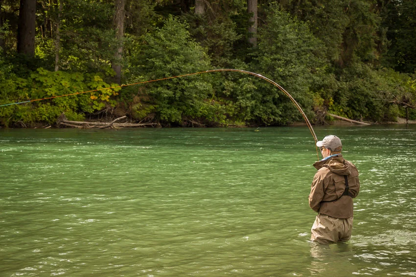 Angler fighting a hooked Salmon in green river water, showing strong rod pressure and the challenge of landing Salmon during active river runs.