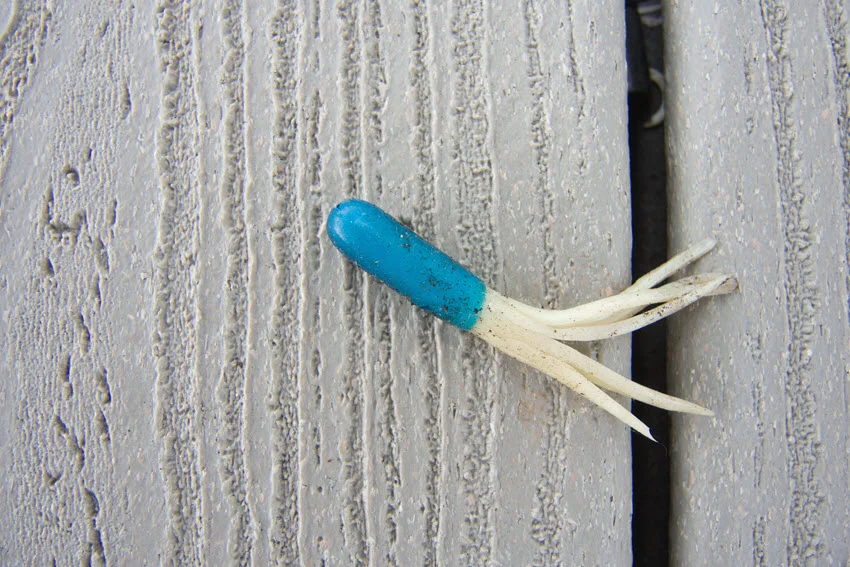 Top view of a fishing reel, small artificial fish bait, and shell bait arranged on a bamboo mat.