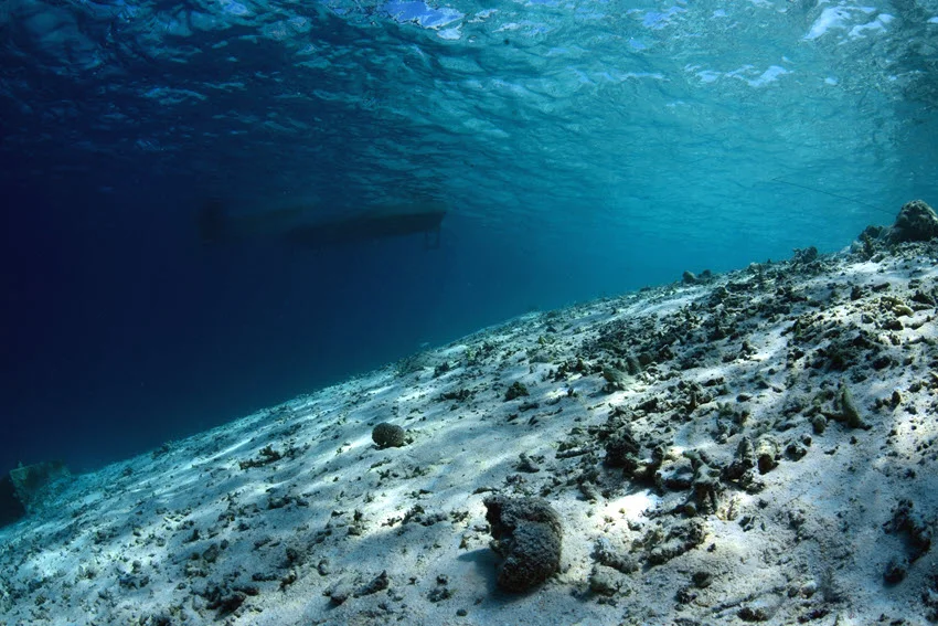 Scenic underwater view of a white sandy floor with rocks and grass in deep dark blue water.