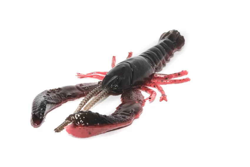 Close view of a dark soft-plastic crustacean lure designed to imitate natural prey when targeting Sheepshead near bottom structure.