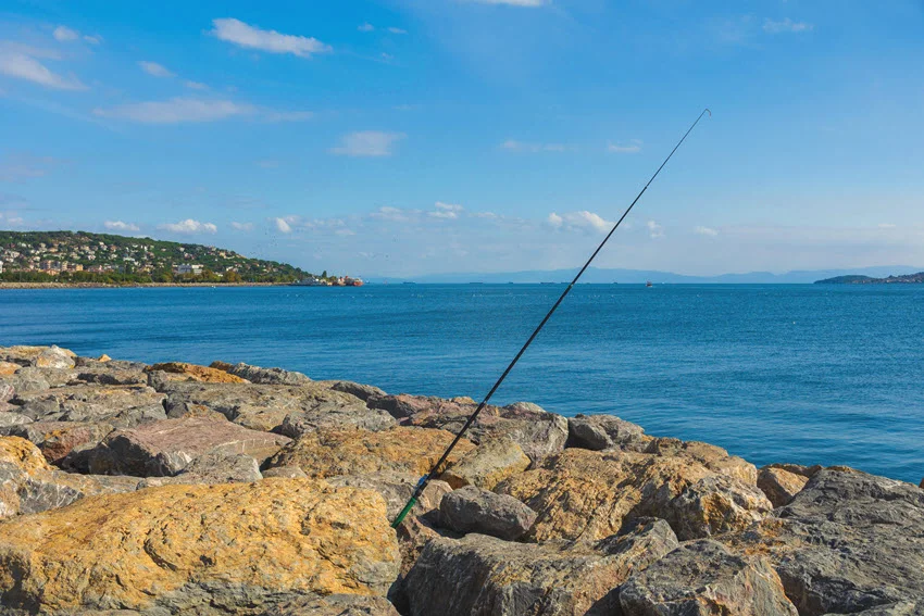 Fishing rods set up on rocky shoreline pointing toward the open sea under clear blue skies.