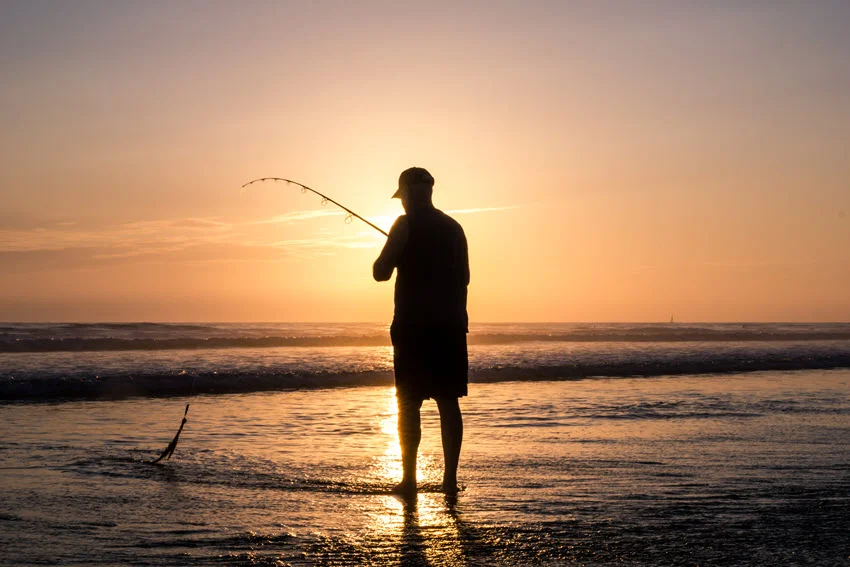 Silhouette of an older angler standing on a beach in sunset, performing fly fishing.