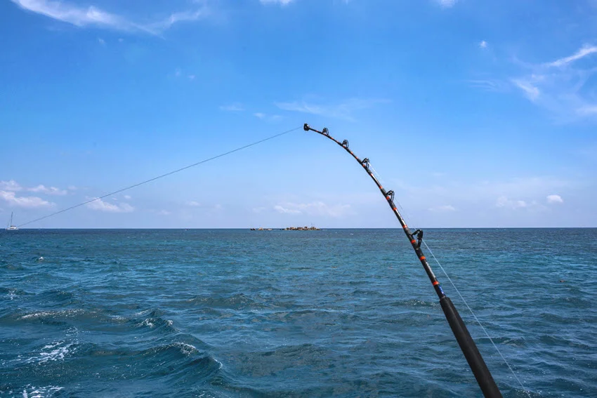 Fishing rod for trolling against the backdrop of the sea on a sunny day.
