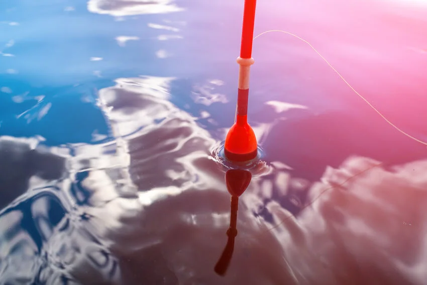 Red fishing lure floats on the water on which clouds are reflected.