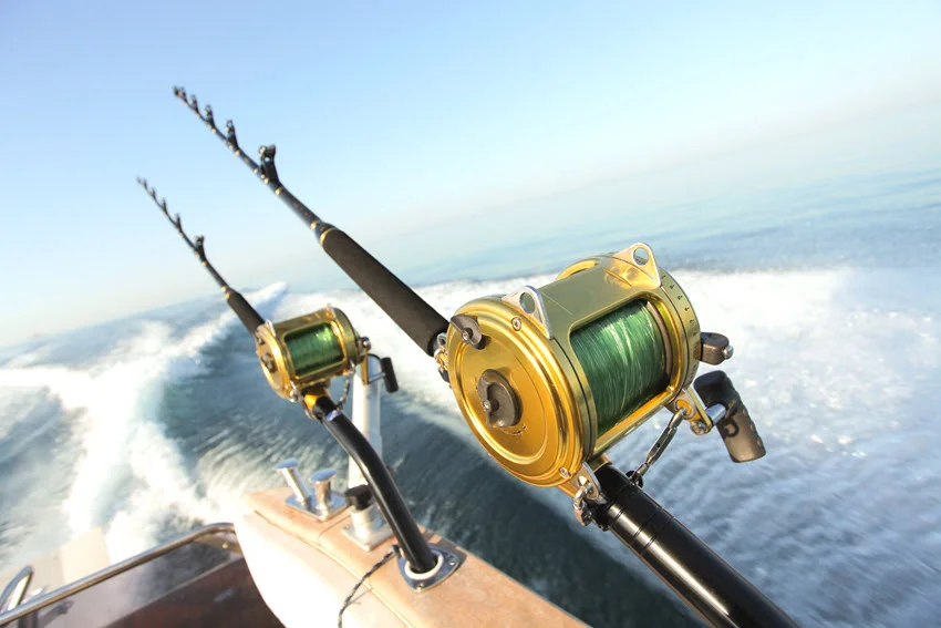Close view of conventional trolling rods and reels set behind a moving boat for covering open water in search of Spanish Mackerel.
