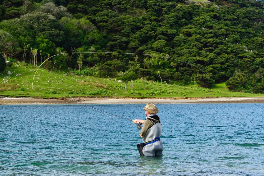 Angler wading waist-deep in shallow green water while fly fishing and casting toward grassy flats.