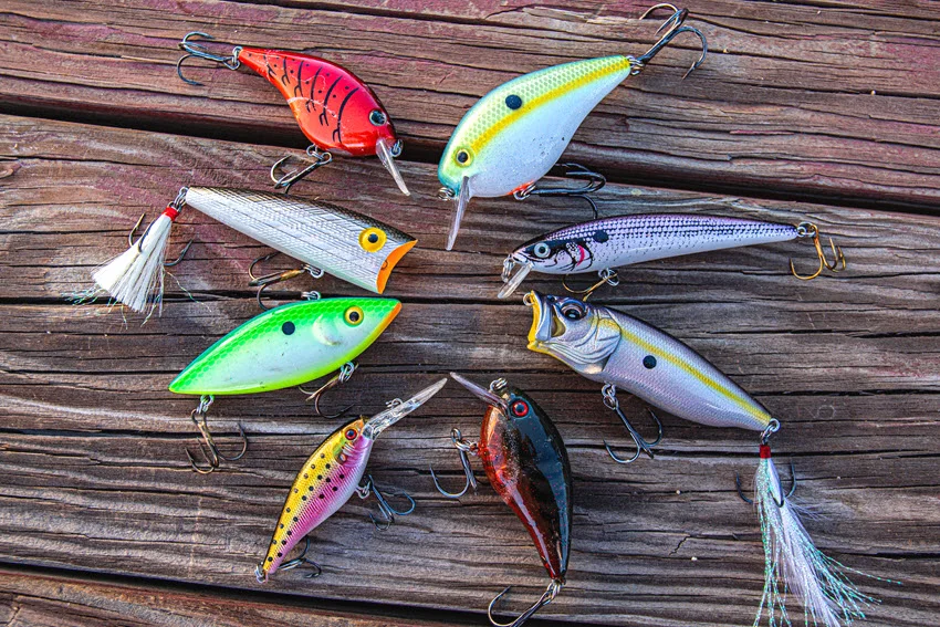 Variety of topwater plugs, crankbaits, and soft lures displayed on a rustic wooden background.