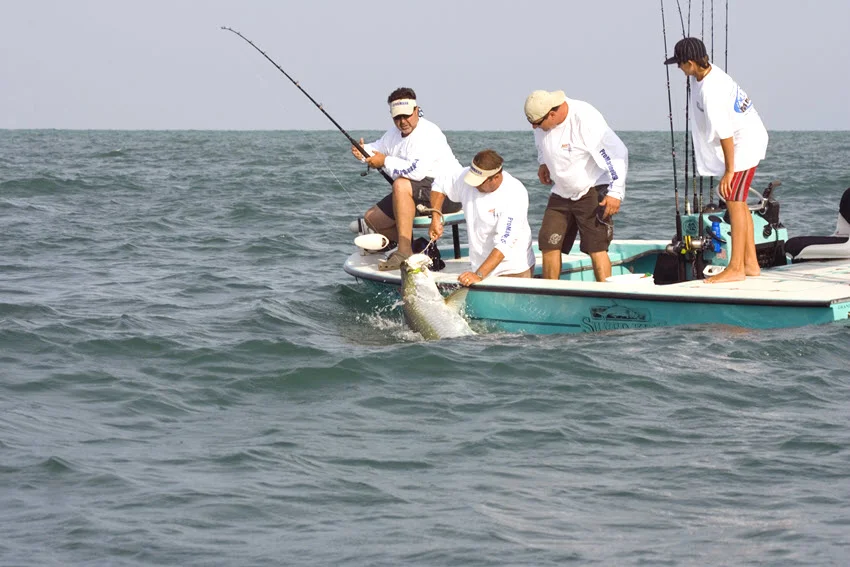 Anglers handling a large Tarpon beside a boat during a boat-side catch in open water.