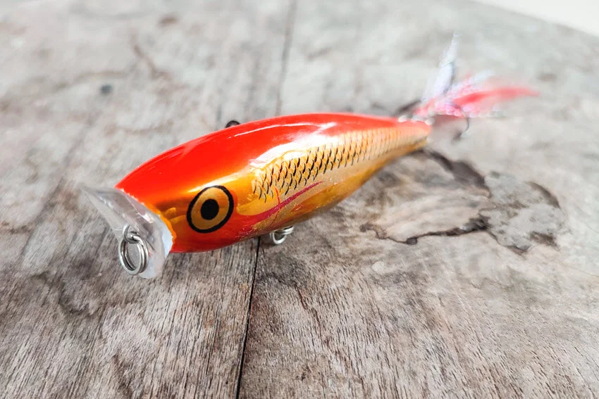 Close view of a bright topwater lure used for Tarpon fishing and surface strikes.