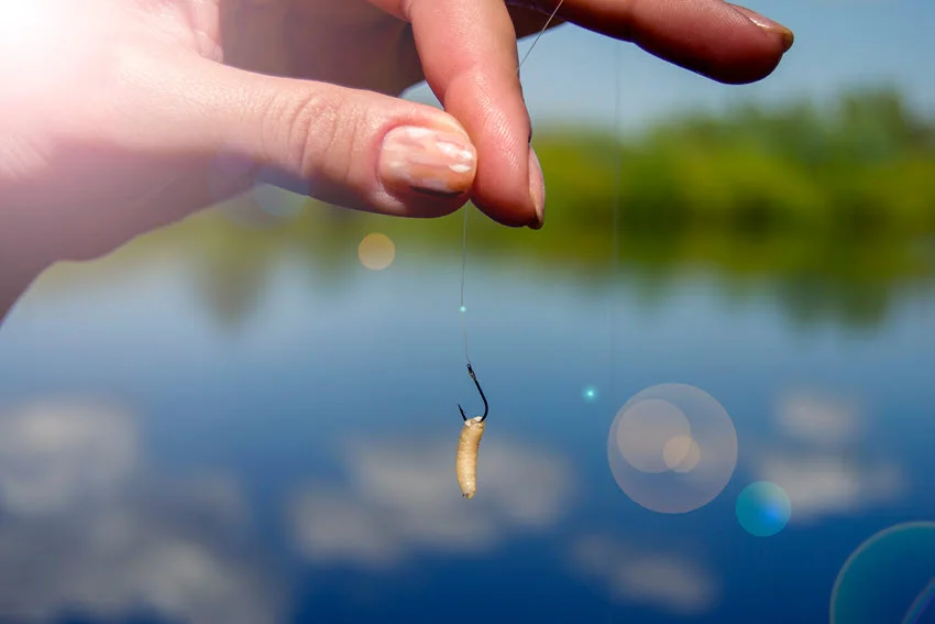 The female hand holds a hook on which a fly larva hangs against a blurry, calm lake landscape.