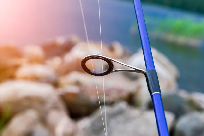 Close-up of fishing line passing through a guide on a blue spinning rod, with warm sunlight and a blurred waterside background.