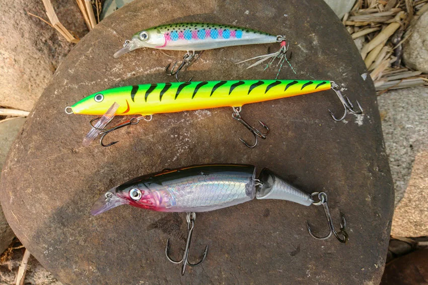 Collection of large jerkbait fishing lures, all featuring treble hooks, displayed on a rock surface.