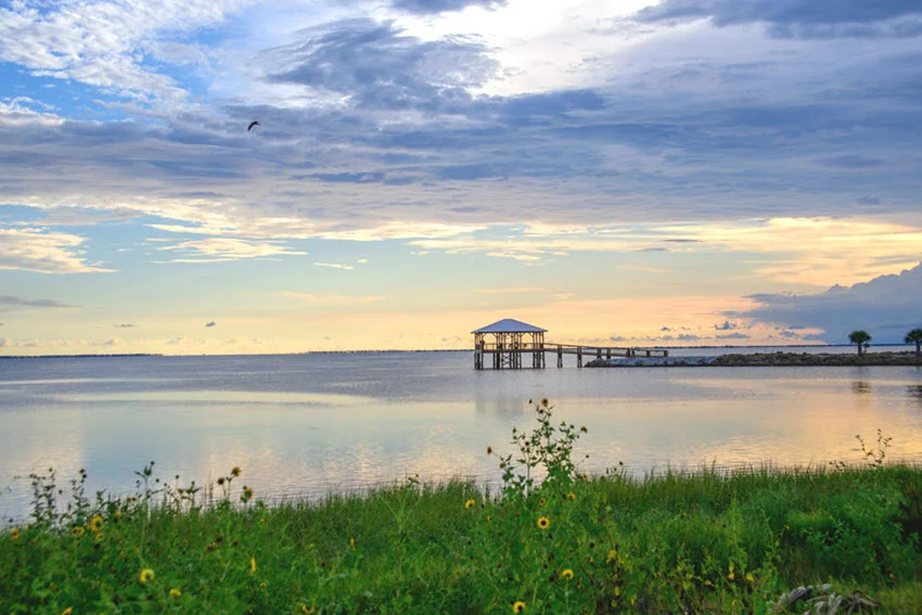 Biloxi Beach Pier stretches out in calm waters and the sandy coastline with lush green vegetation.