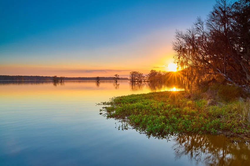 Sunrise over a calm Florida lake with shoreline vegetation and open water, showing a productive low-light setting for Bluegill fishing.