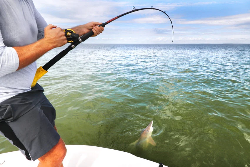 Angler try to pull out shark out the ocean with spinning rod.