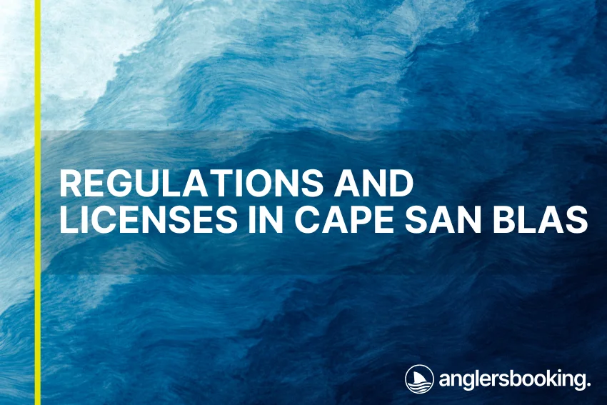 An illustration of ocean waves in intricate shades of blue with a yellow line on the left side of the visual, the heading Regulations and Licenses in Cape San Blas, and the Anglers Booking logo at the bottom right.