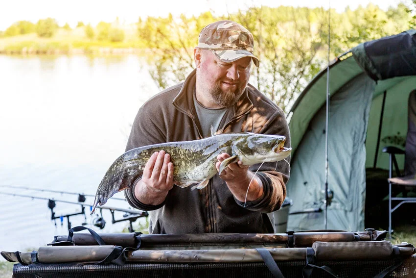 Catfish Season in Florida: Rules, Tips, and Best Times.