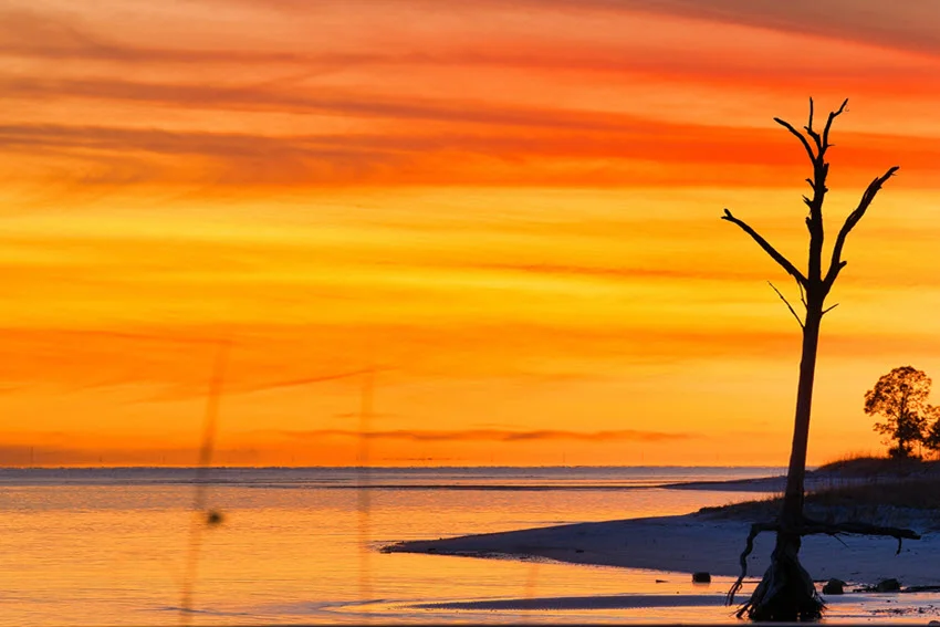 Sunset over a quiet Florida lake with shoreline cover, showing the low-light conditions that can make Catfish fishing more productive.