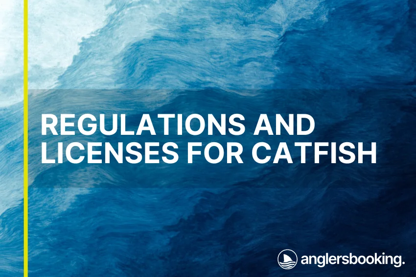 An illustration of ocean waves in intricate shades of blue, with a yellow line on the left side of the visual, the heading Regulations and Licenses for Catfish, and the Anglers Booking logo at the bottom right.