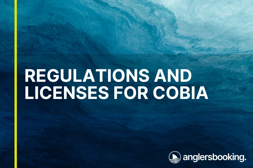 An illustration of ocean waves in intricate shades of blue, with a yellow line on the left side of the visual, the heading Regulations and Licenses for Cobia, and the Anglers Booking logo at the bottom right.