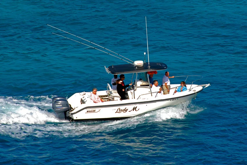 Common Galveston, TX Fish Species: The Angler's Guide.