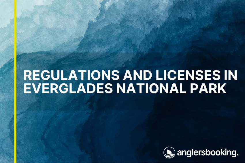 An illustration of ocean waves in intricate shades of blue with a yellow line on the left side of the visual, the heading Regulations and Licenses in Everglades National Park, and the Anglers Booking logo at the bottom right.