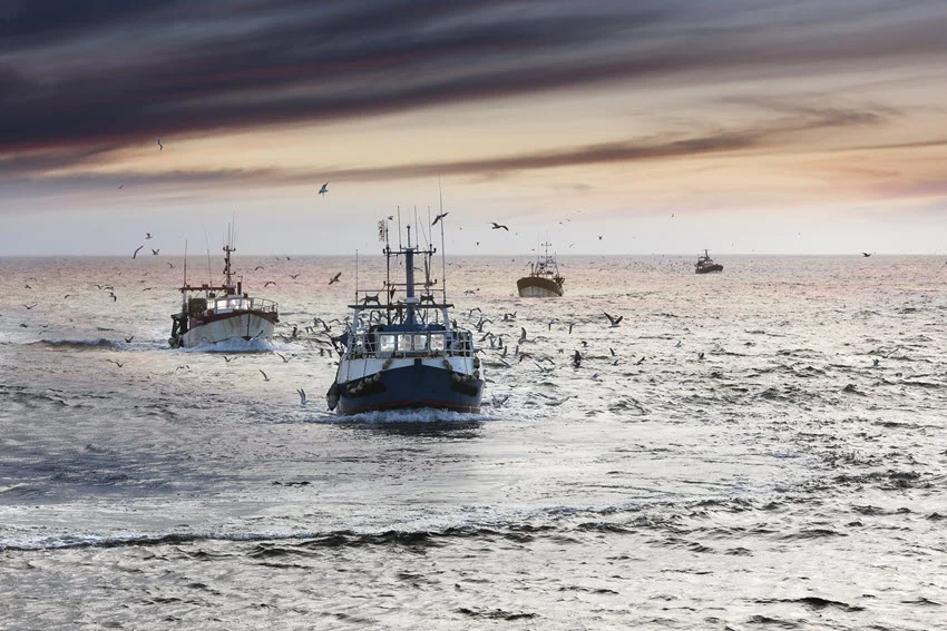 A view of exhausted fishing boats returning after a long day at sea, with a cloudy sky in the background.