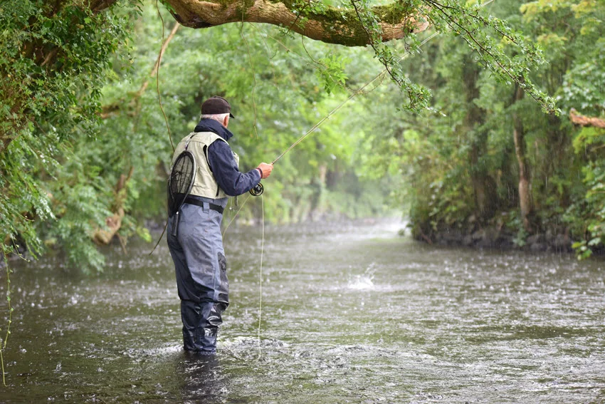 A back view of a fly fisherman casting in a river, surrounded by lush vegetation, with rain gently falling.
