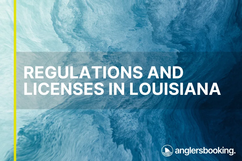 An illustration of ocean waves in intricate shades of blue with a yellow line on the left side of the visual, the heading Regulations and Licenses in Louisiana, and the Anglers Booking logo at the bottom right.
