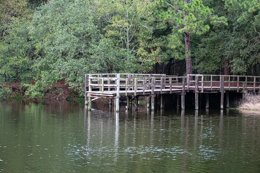 Pier extending into a peaceful lagoon in City Park, New Orleans, Louisiana, USA. Surrounded by lush greenery and calm waters, the pier offers a tranquil spot with reflections of trees and the sky creating a serene, picturesque scene.