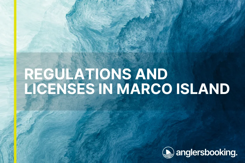 An illustration of ocean waves in intricate shades of blue with a yellow line on the left side of the visual, the heading Regulations and Licenses in Marco Island, and the Anglers Booking logo at the bottom right.