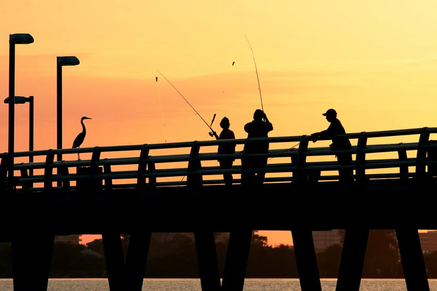 Silhouette of an angler catching a fish at sunset in Florida. The warm, golden hues of the setting sun reflect off the water, creating a picturesque and serene fishing scene against the backdrop of the tranquil evening sky.
